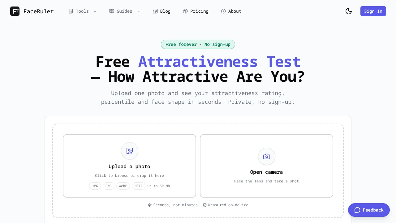 Screenshot of FaceRuler website