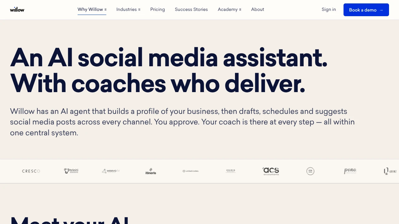 Screenshot of Willow website