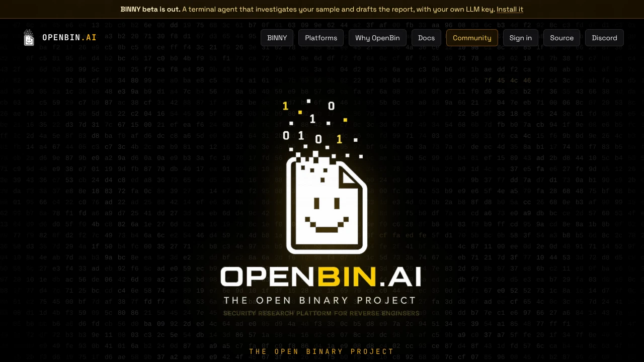 Screenshot of OpenBin.ai website