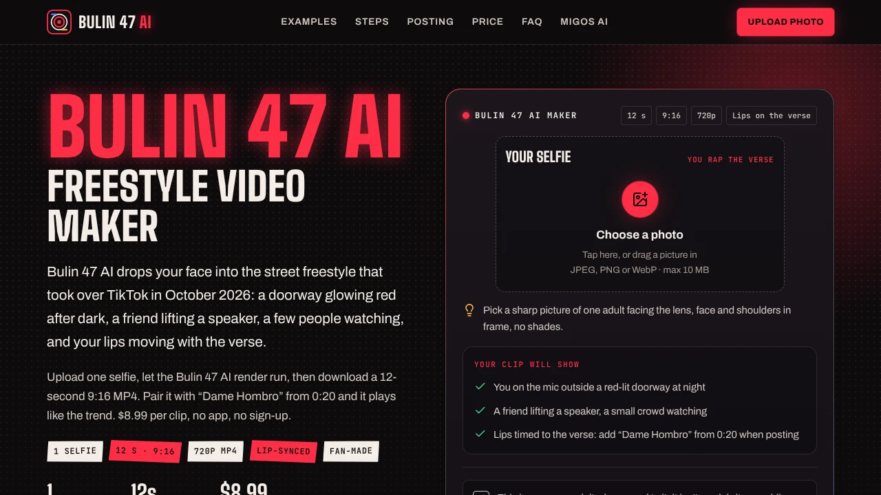 Screenshot of Bulin 47 AI website